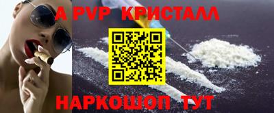 эйфоретик Кингисепп
