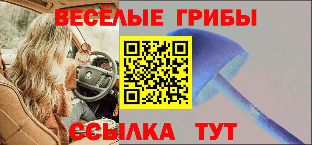 наркота  Вход с VPN  Кропоткин  Псилоцибиновые грибы мицелий  Псилоцибиновые грибы мицелий 